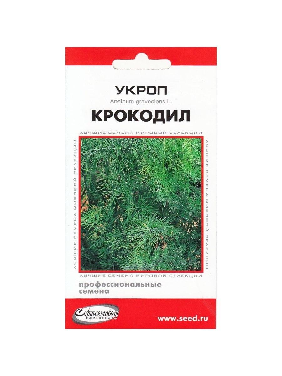 Семена укроп Аллигатор 2г