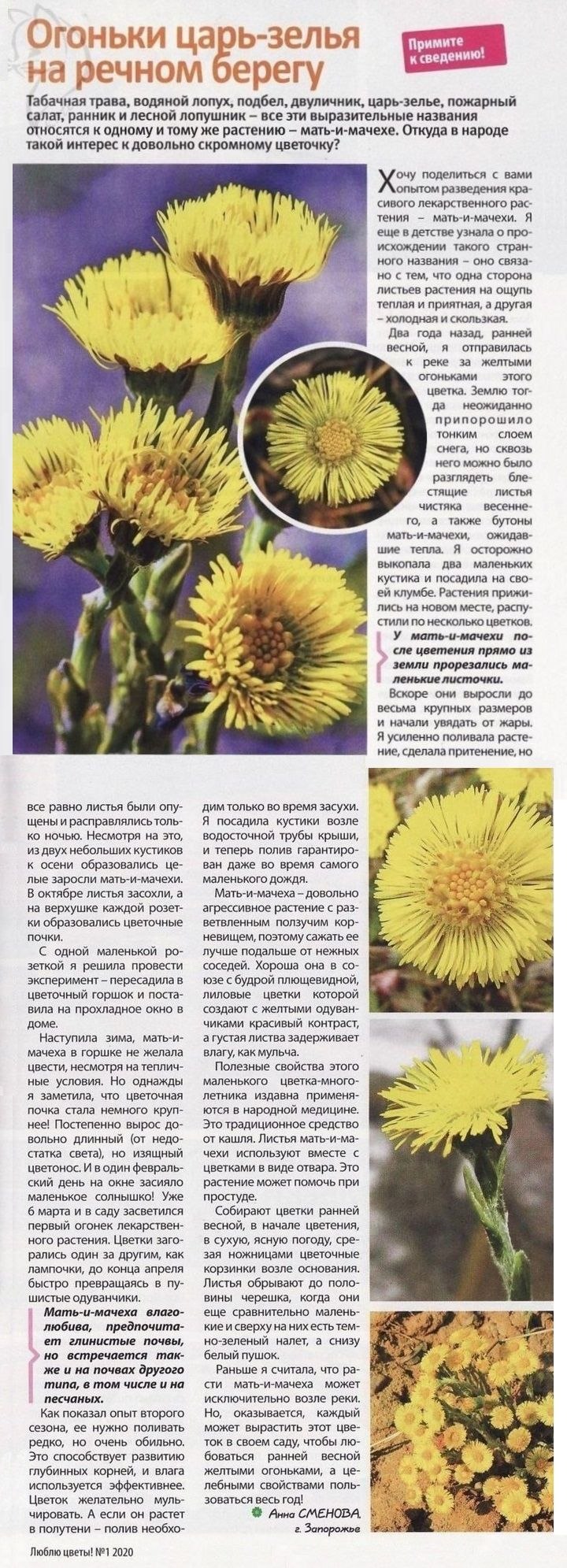 Весна Нищева занимаемся вместе