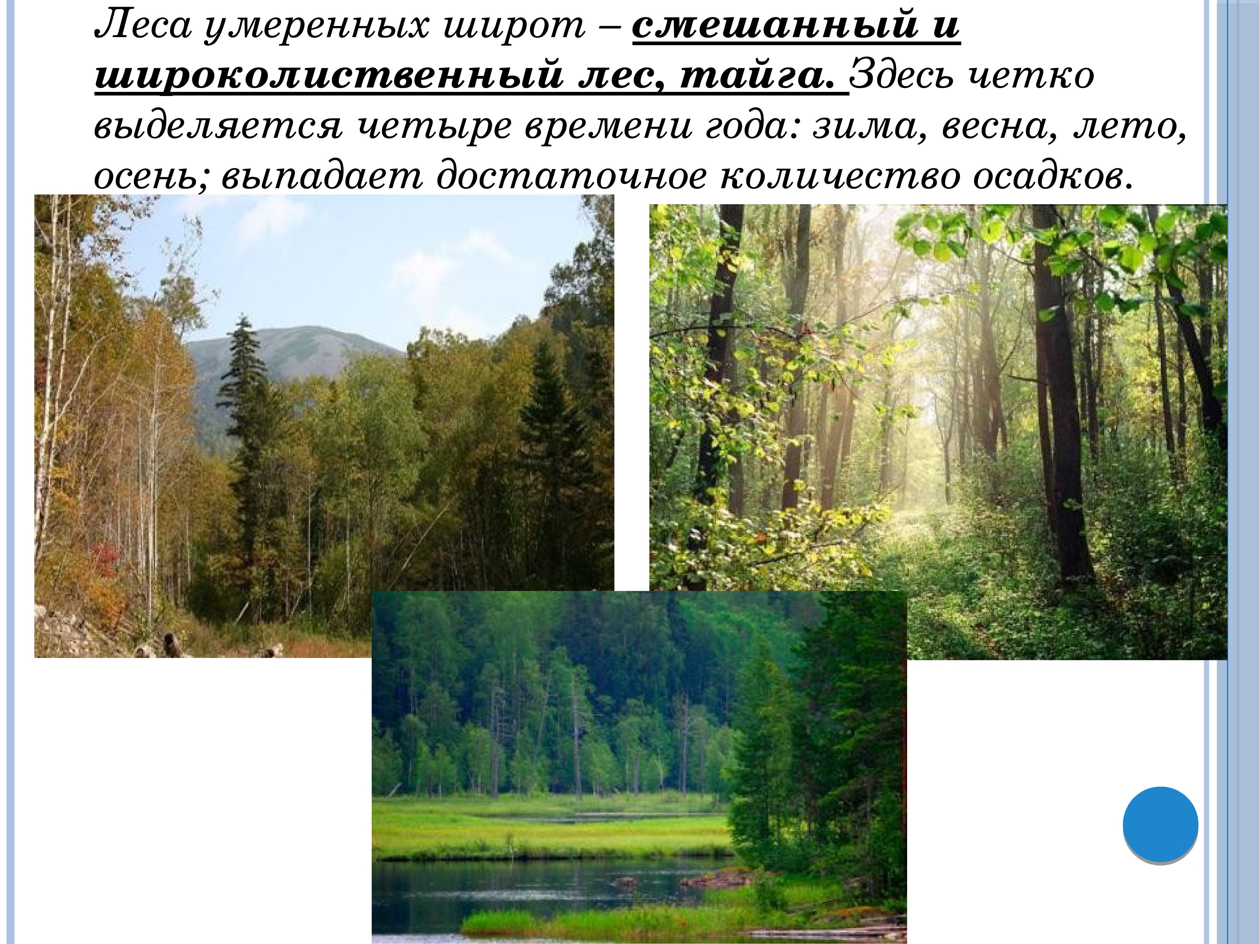 Природные районы смешанных лесов