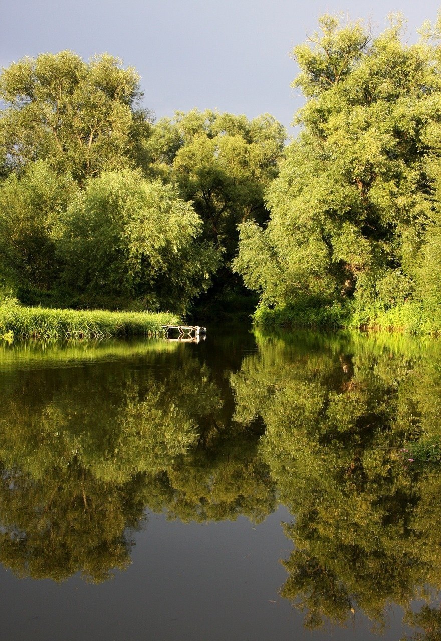 Пейзаж с рекой