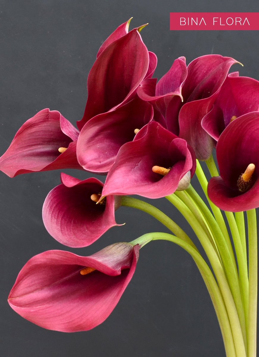 Каллы разноцветные