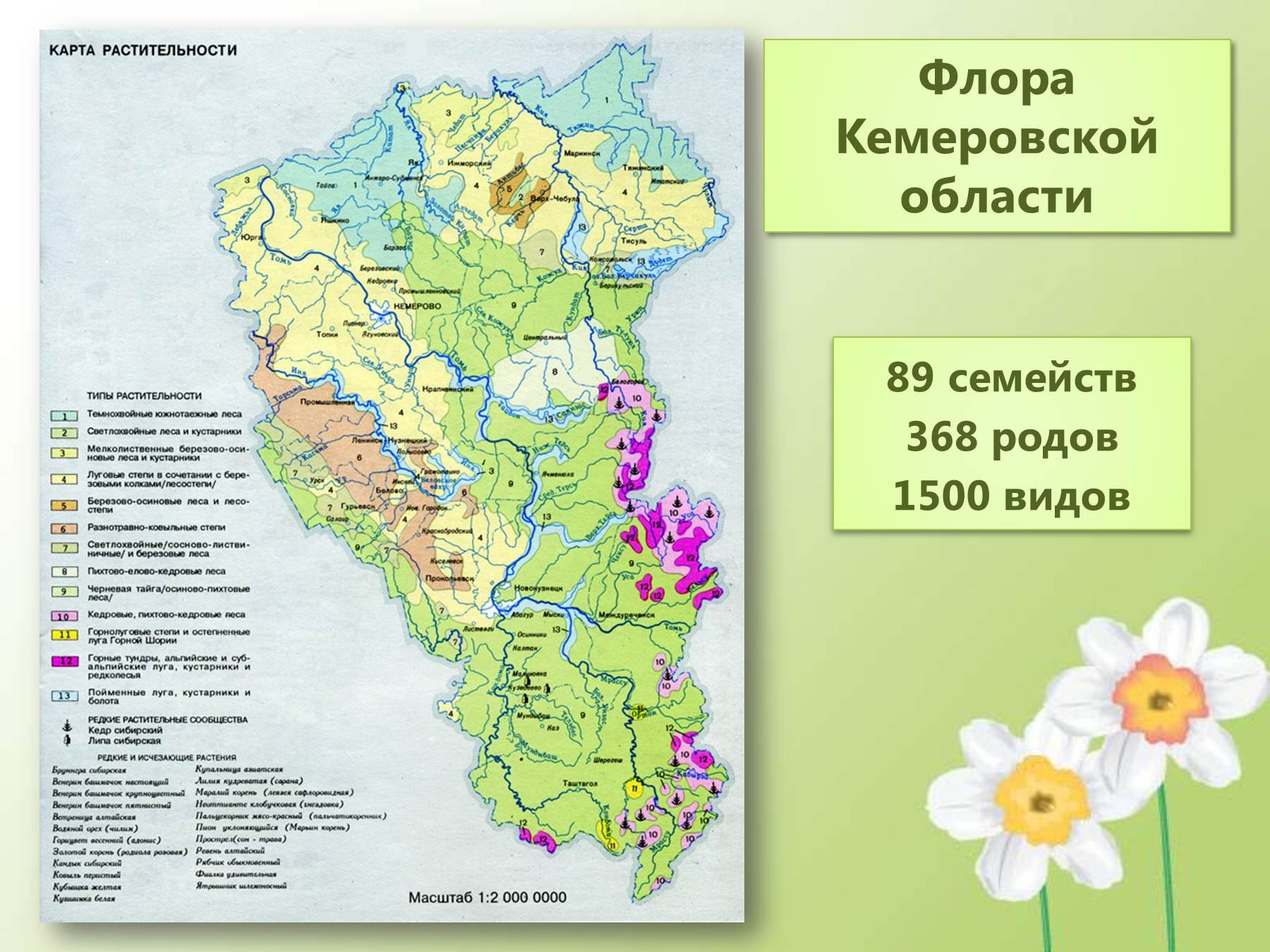 Карта растительности Кемеровской области