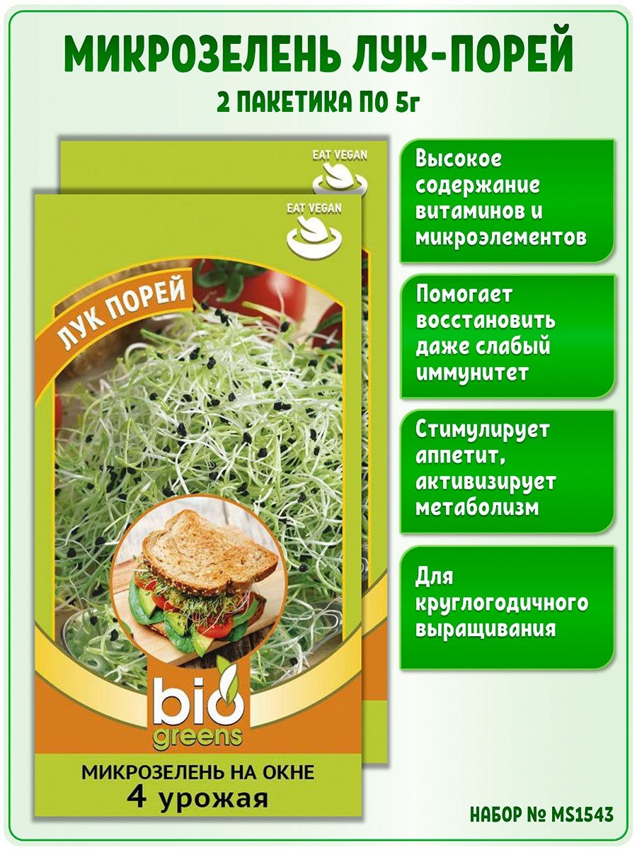 Микрозелень пшеница