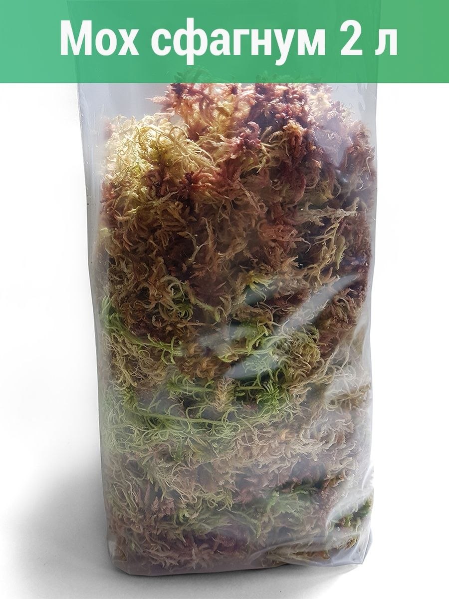 Repti-Zoo субстрат мох сфагнум