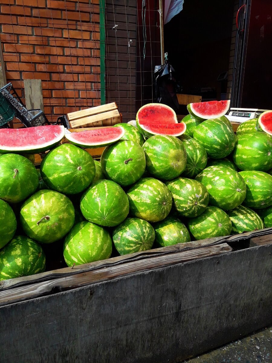 Қовун тарвуз