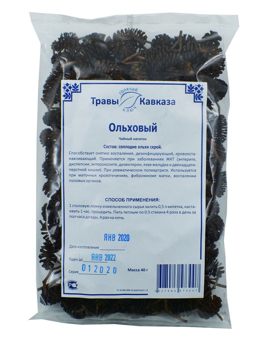 Ольха серая соплодия