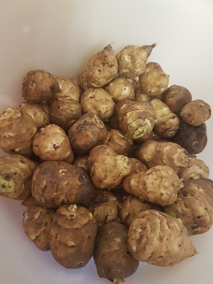 Топинамбур цветы