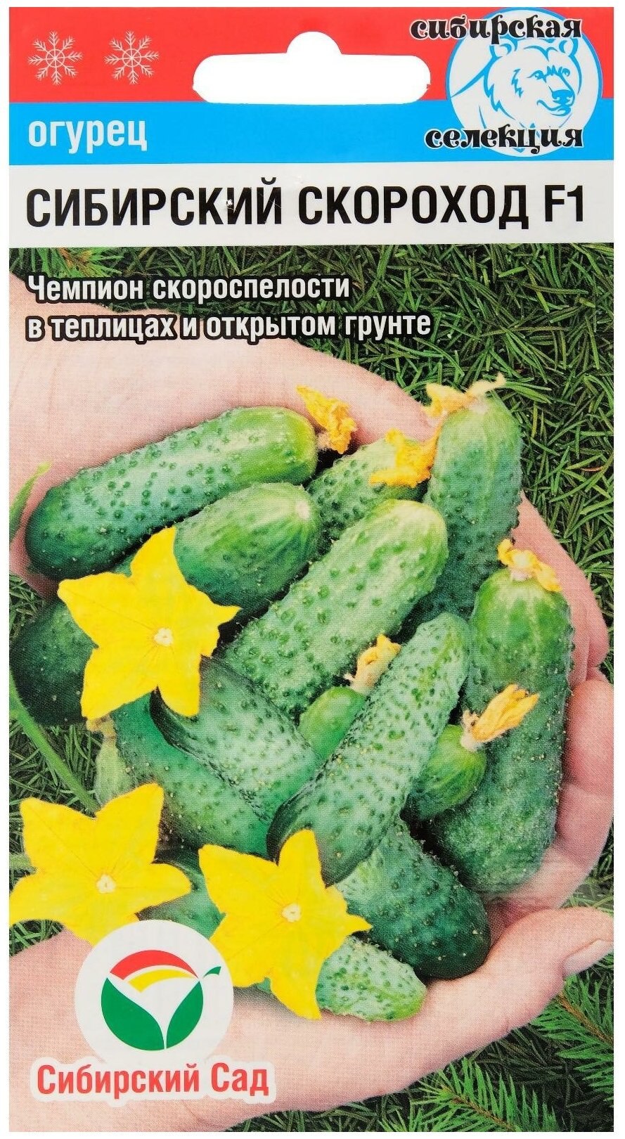 Огурцы сорт Кураж