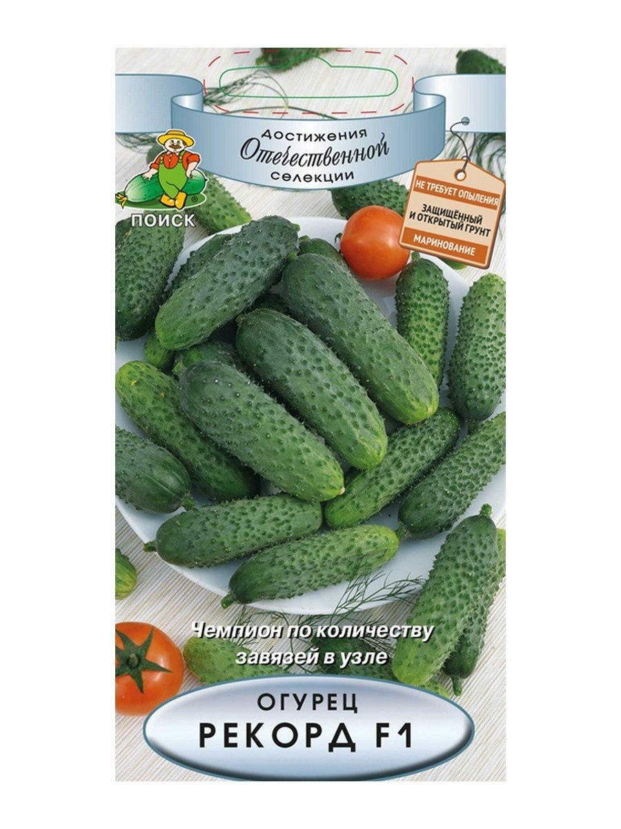 Малосольные огурцы