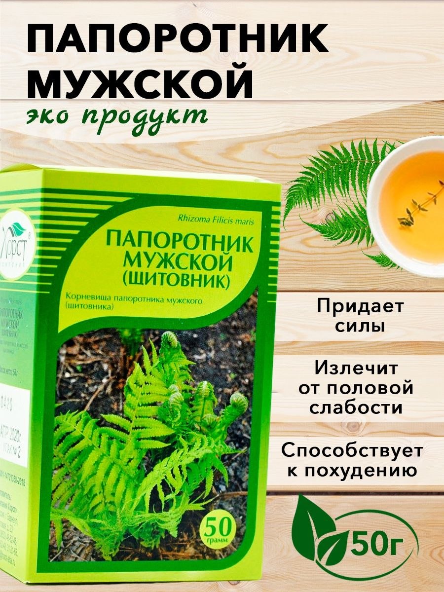 Щитовник корневище