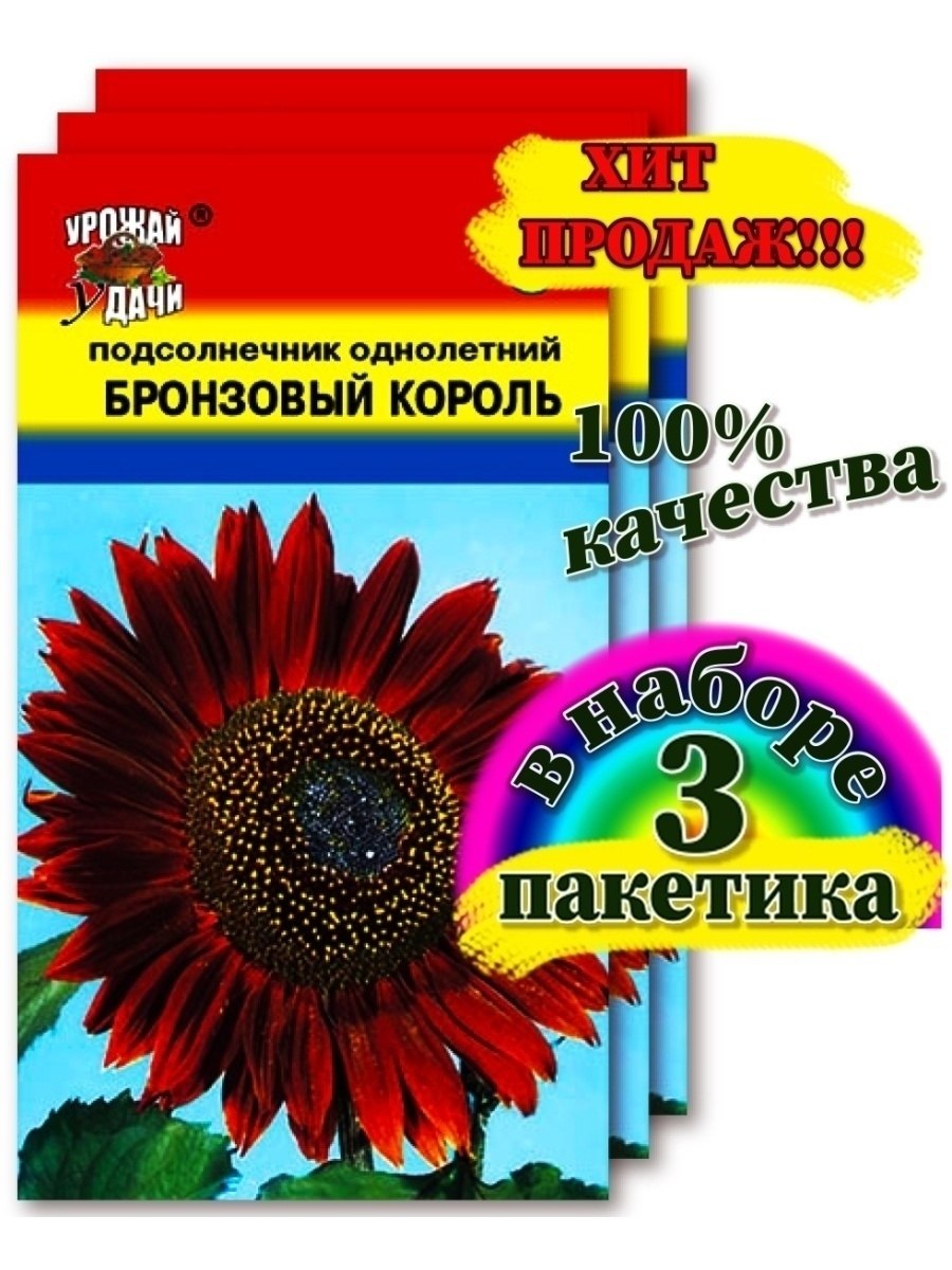 Подсолнечник Медвежонок Тедди