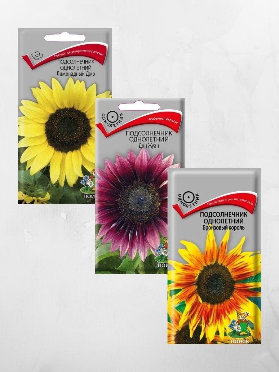 Подсолнечник однолетний Сатурн