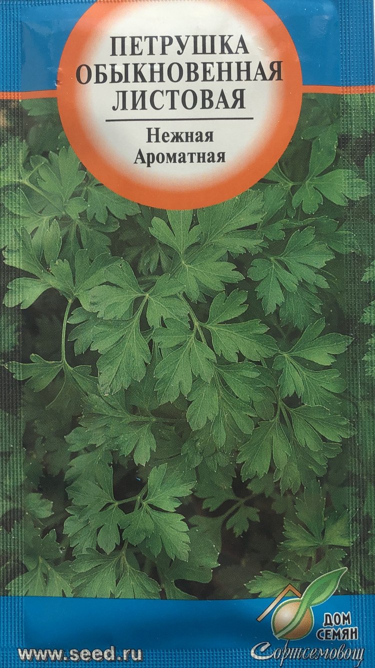 Петрушка листовая обыкновенная