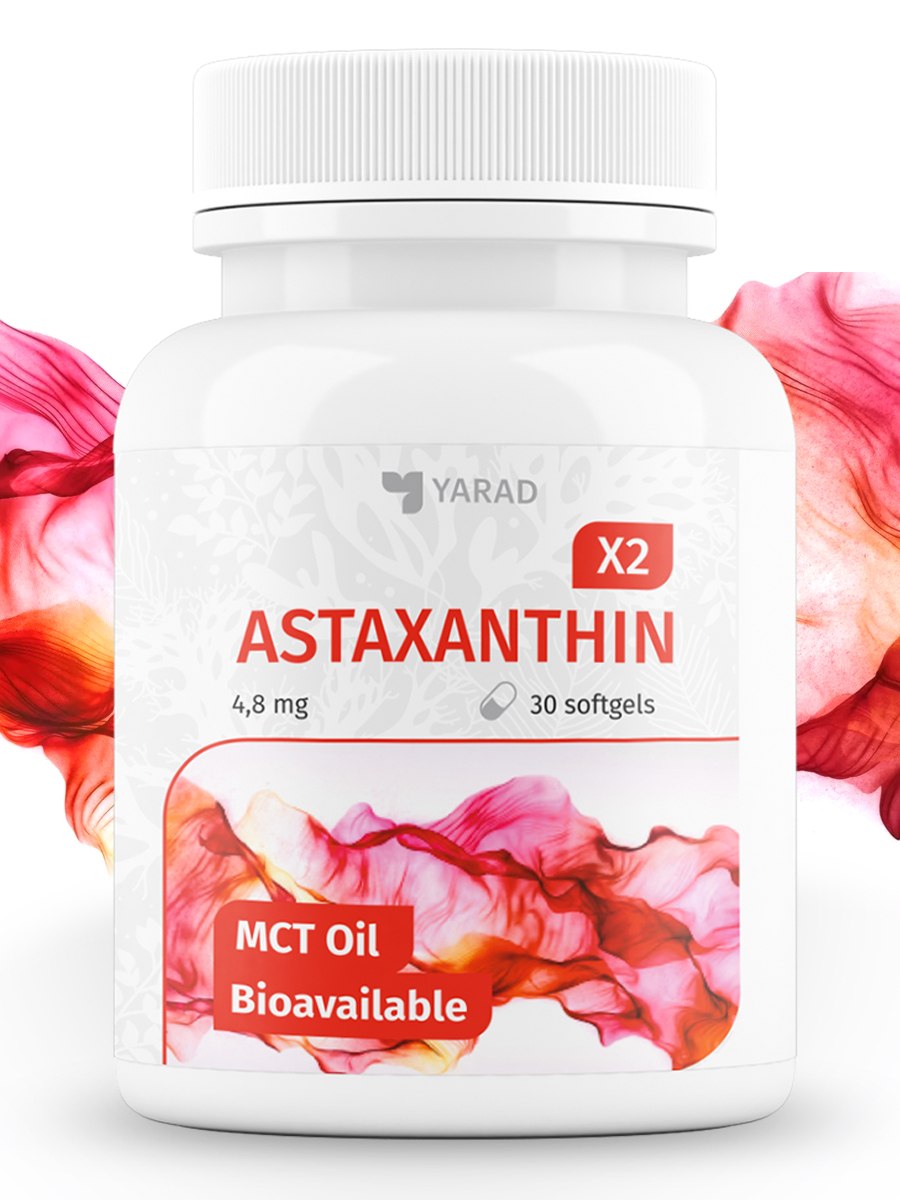 Красные водоросли продуценты