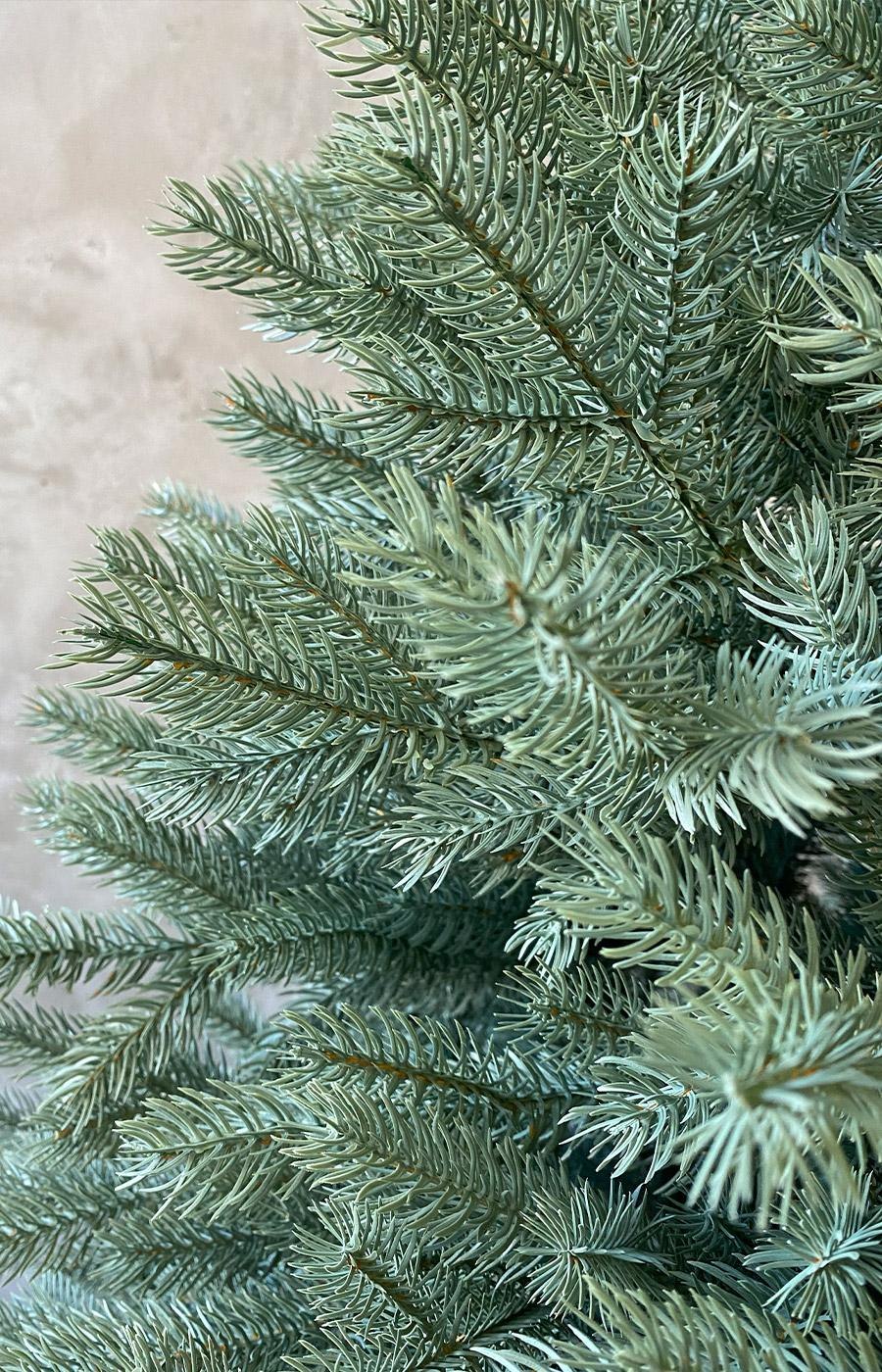 Ель Версальская Макс Кристмас