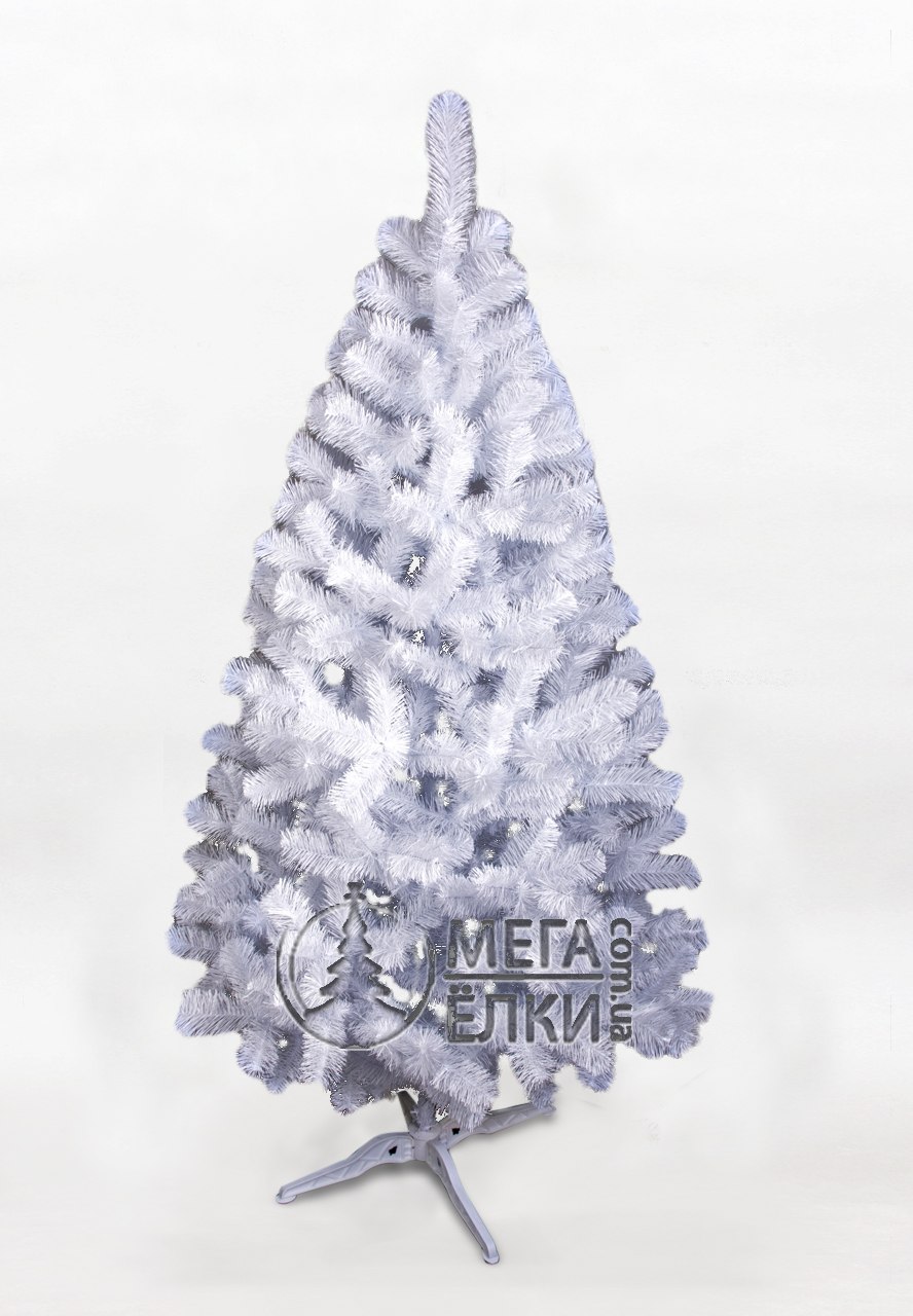 Ель колючая и можжевельник