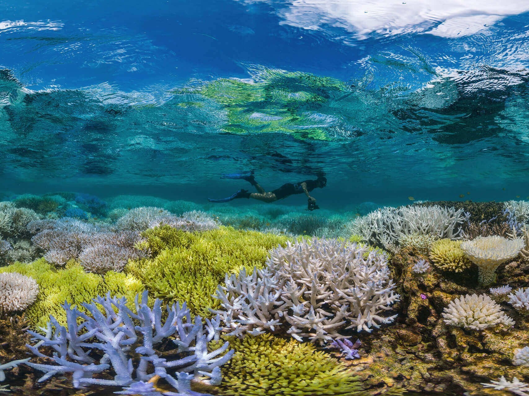 Рифы тихого океана. Большой Барьерный риф в тихом океане. Большой Барьерный риф кораллы. Внутрилагунные рифы. Грейт барьер риф Австралия.