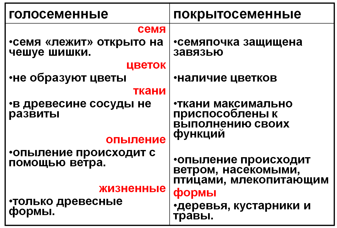 Каковы признаки голосеменных. Отличия голосеменных от покрытосеменных таблица. Общая характеристика голосеменных и покрытосеменных таблица. Основные признаки голосеменных растений 6 класс. Различия голосеменных и покрытосеменных таблица.