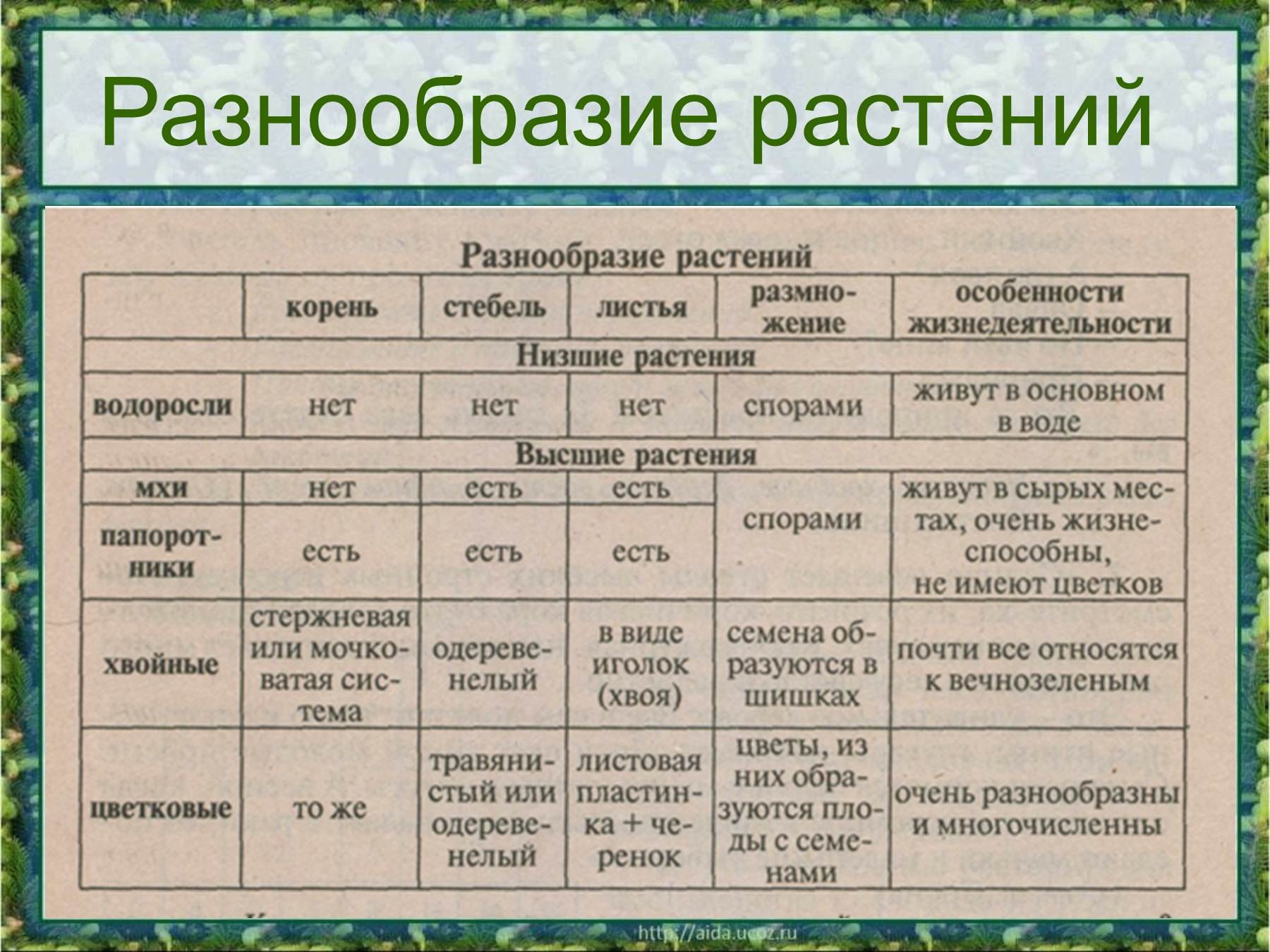 Особенность разнообразия россии. Разнообразие растений. Таблица разнообразие растений. Таблица разнообразие растений 3 класс окружающий мир. Разнообразие растений схема.
