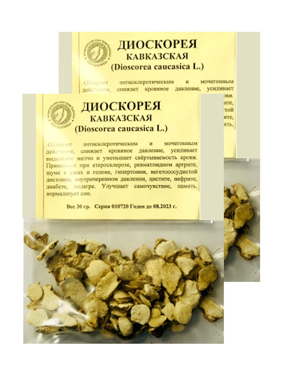 Диоскорея Кавказская гербарий