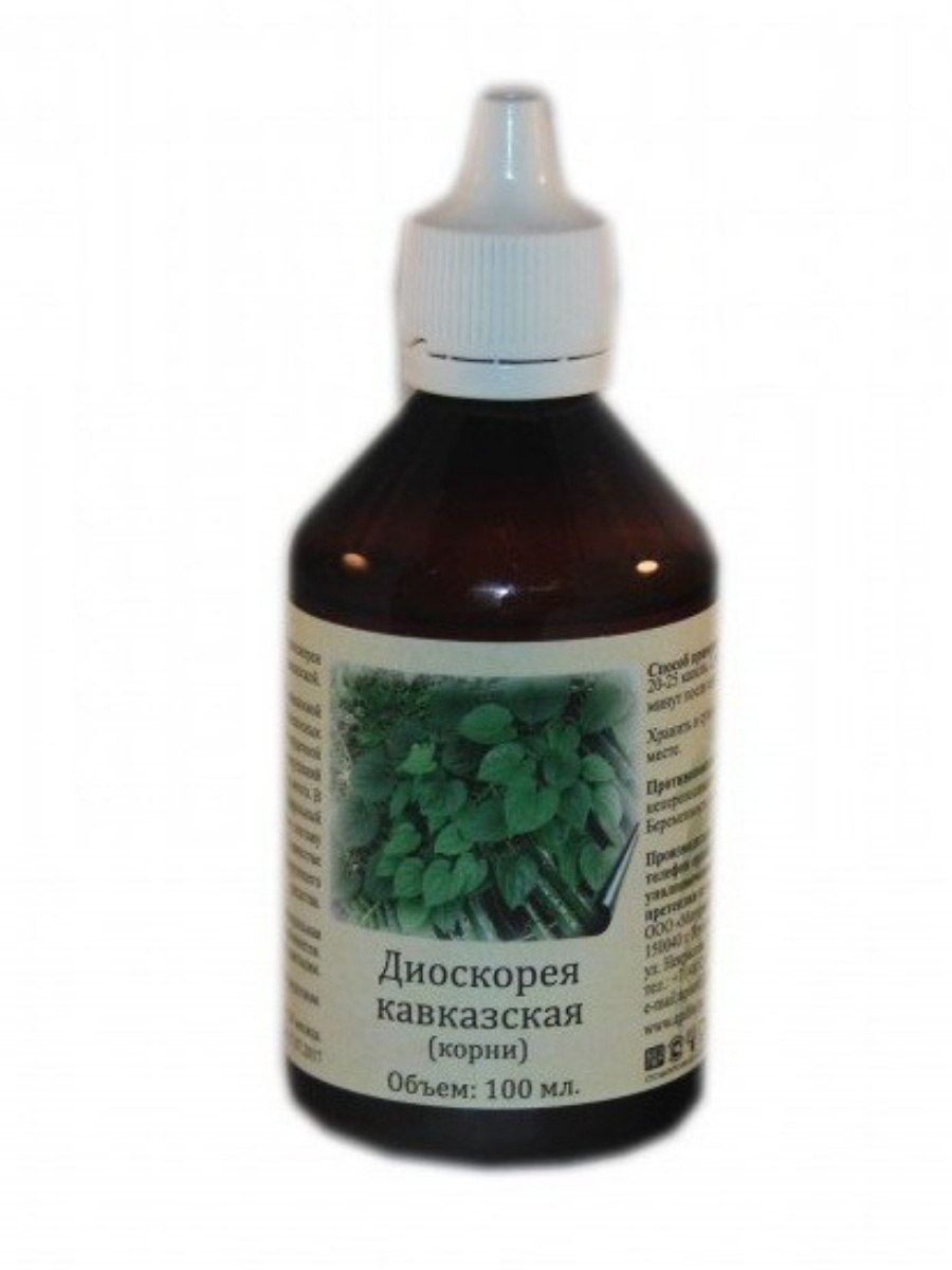 Диоскорея обыкновенная