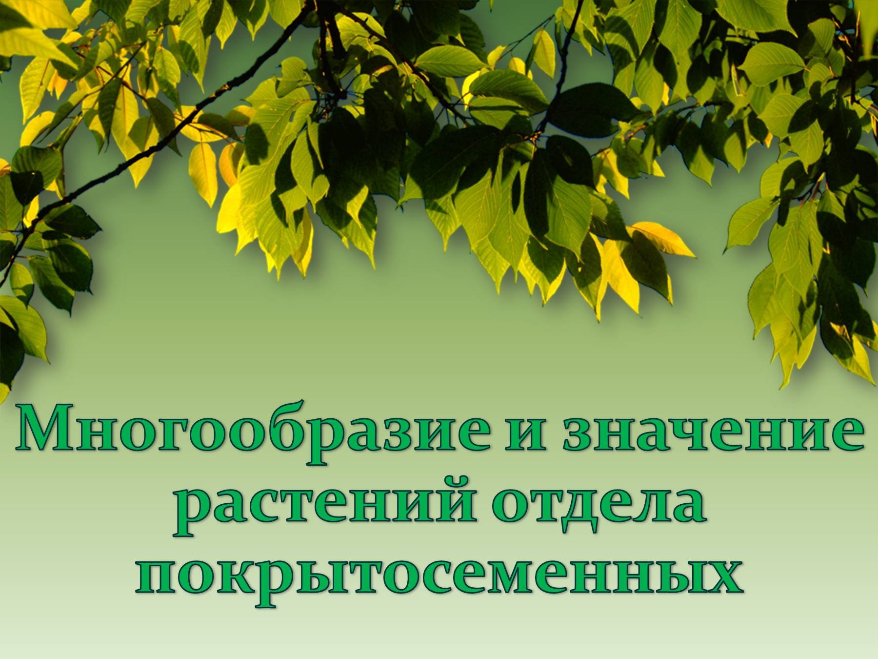 Многообразие и значение растений презентация 5 класс