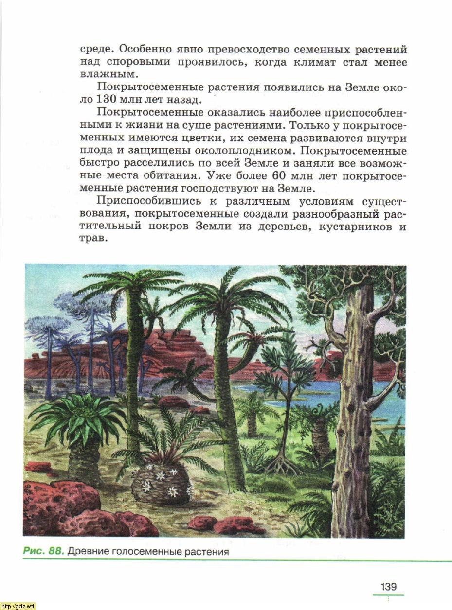 Какие растения господствуют. Споровые и семенные растения. Кто вы такие господствующие растения. Биология 5 класс учебник Пасечник читать.