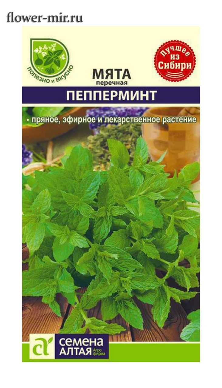 Семена Гавриш мята ментол