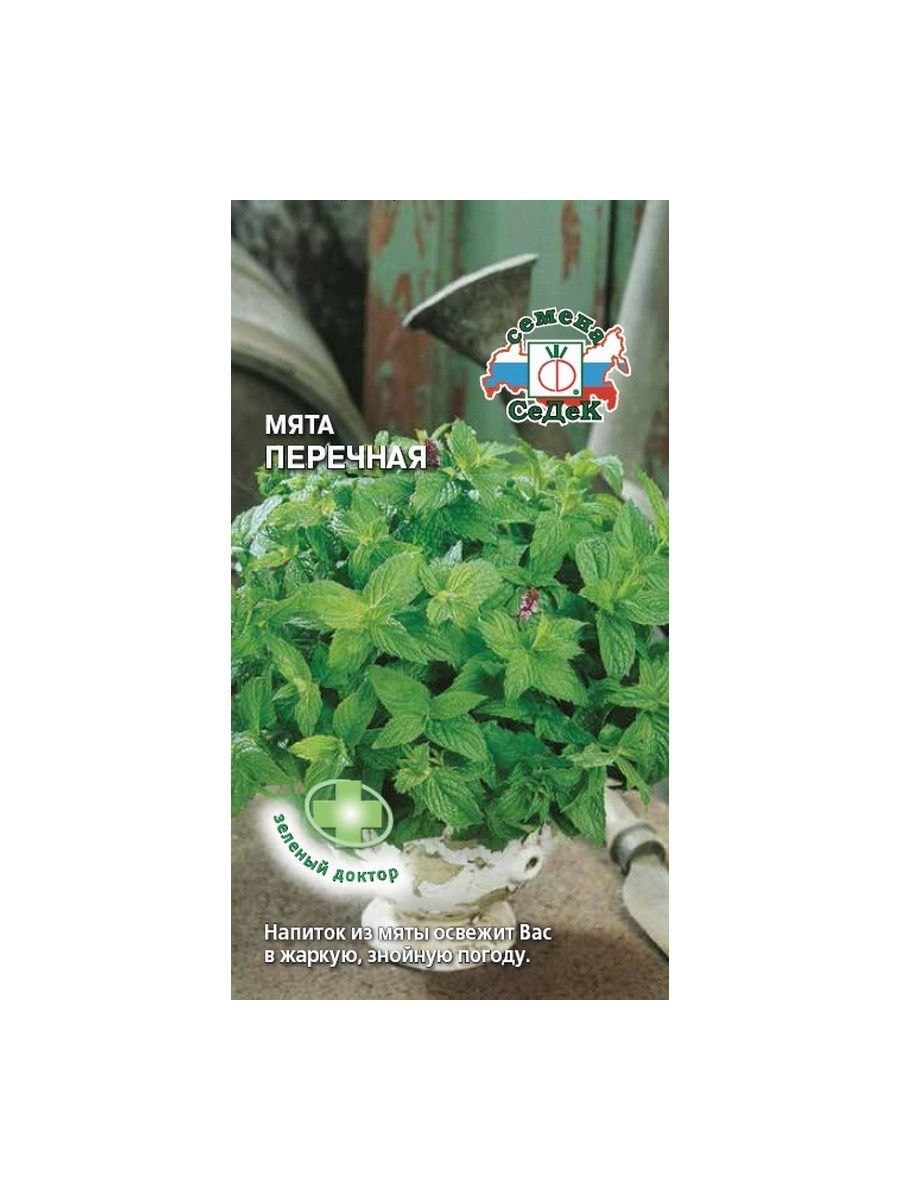 Мята перечная лекарственная