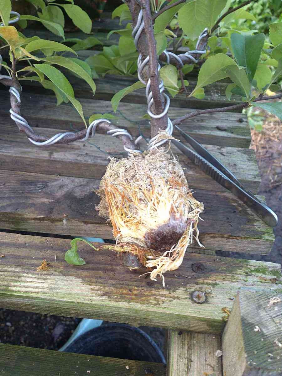 Воздушная отводка