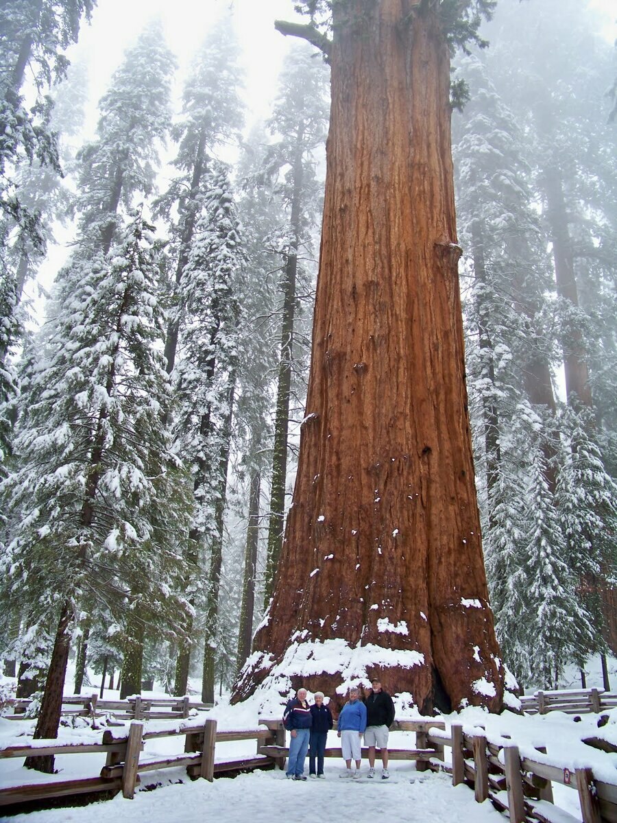 Картинки Генерала Шермана
