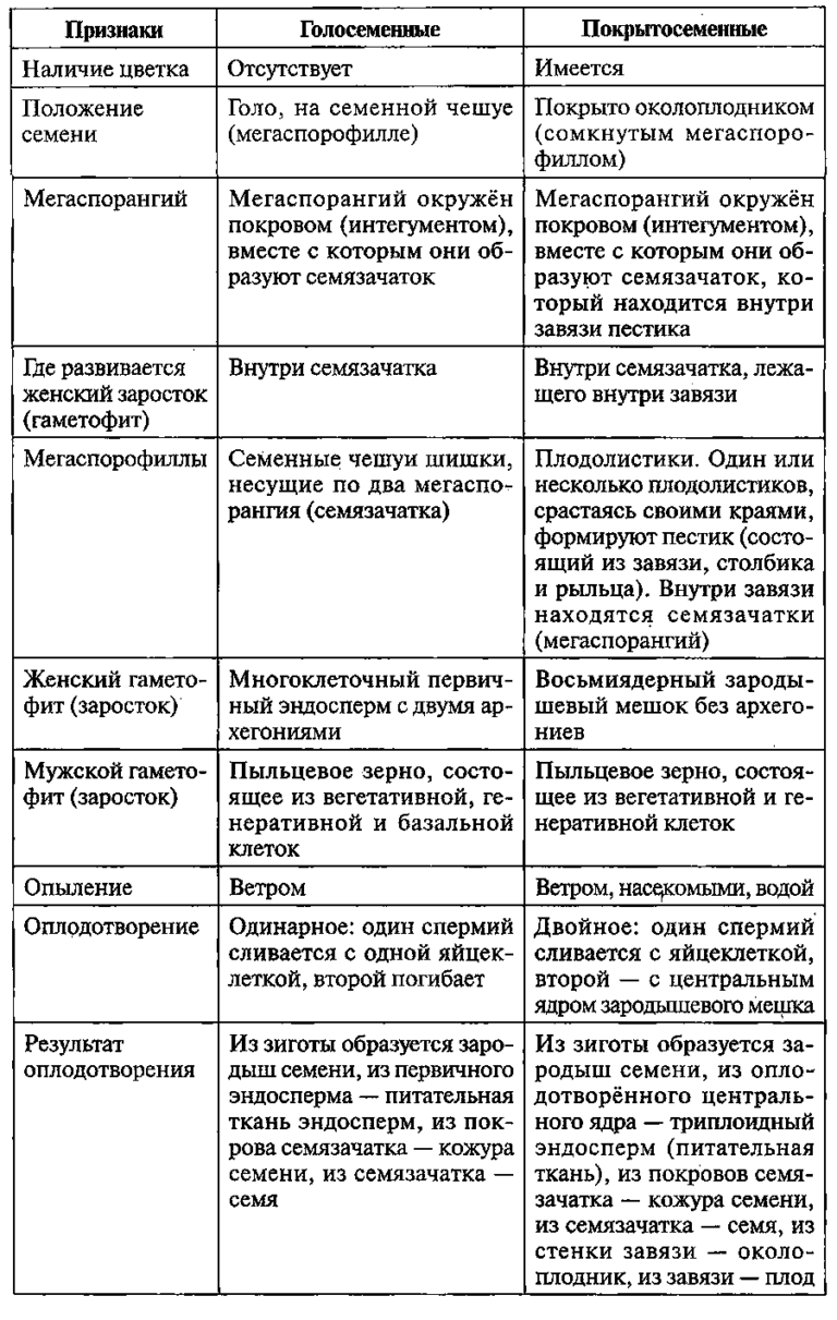 Высшие споровые растения сравнительная таблица