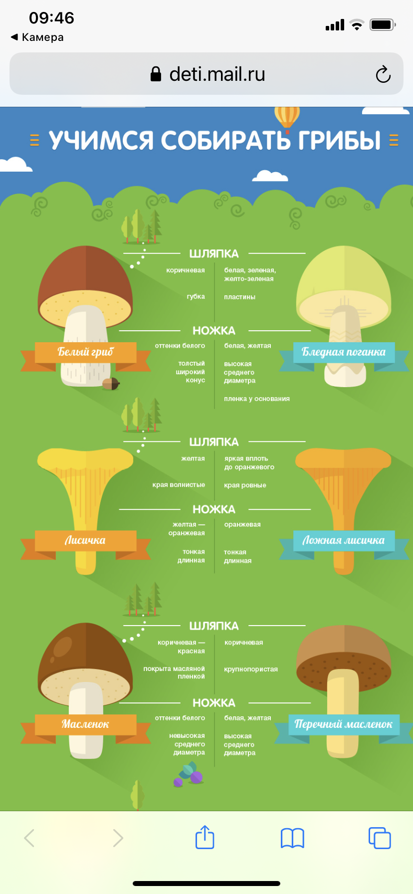 Ложный Луговой шампиньон