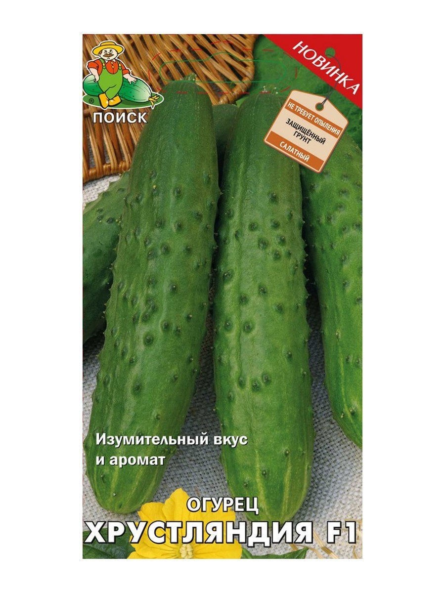 Огурец Атос f1