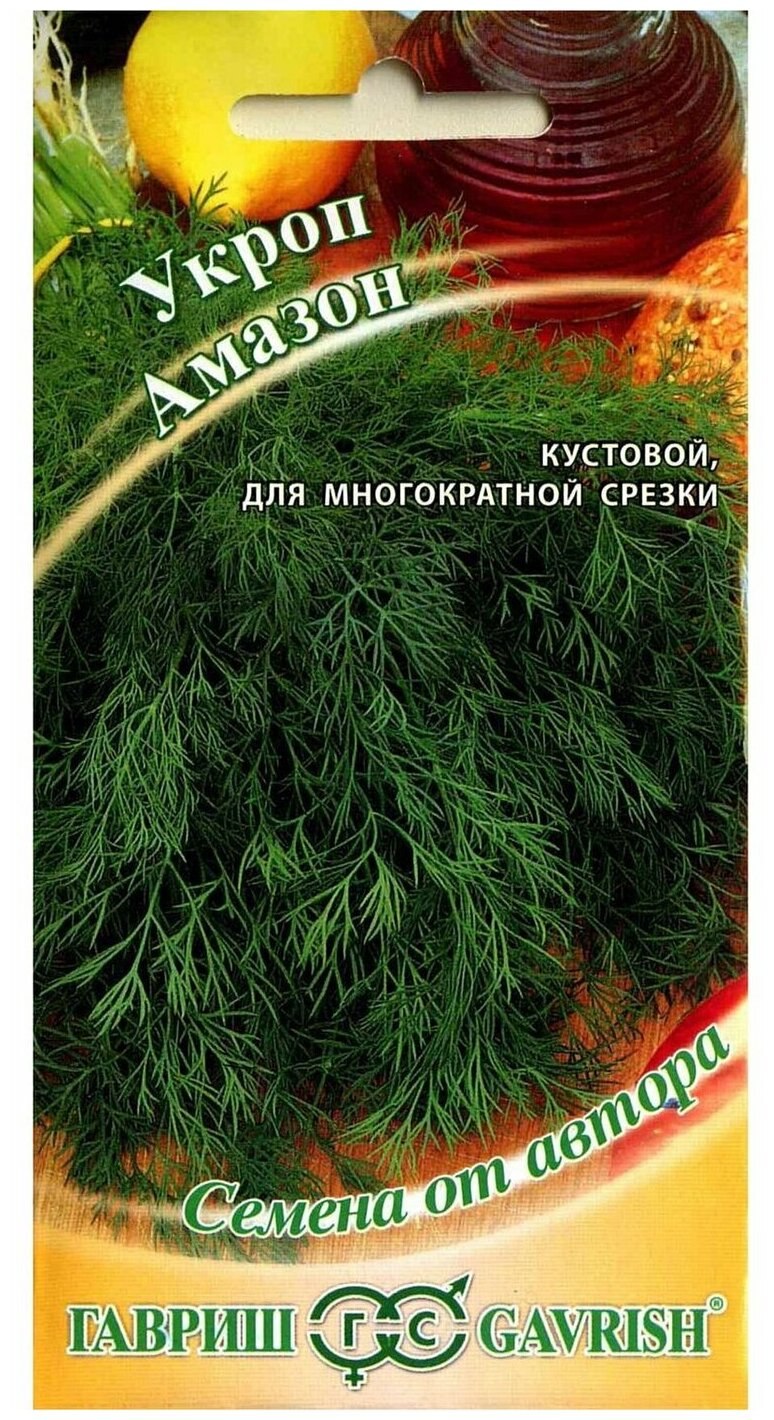 Как сеять укроп