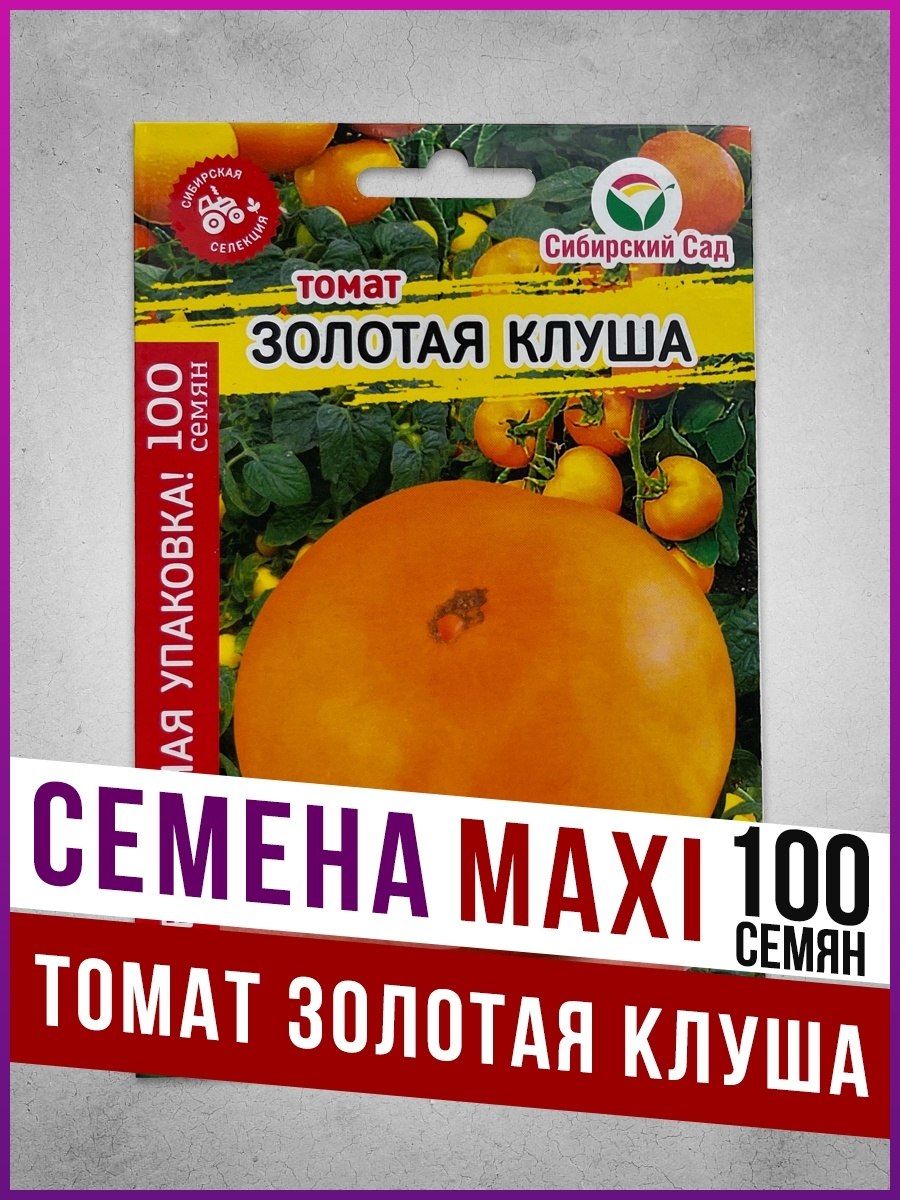 Томат клуша