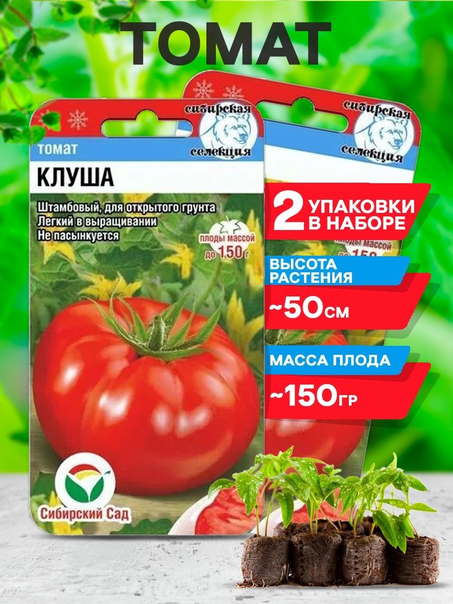 Томат клуша 20шт