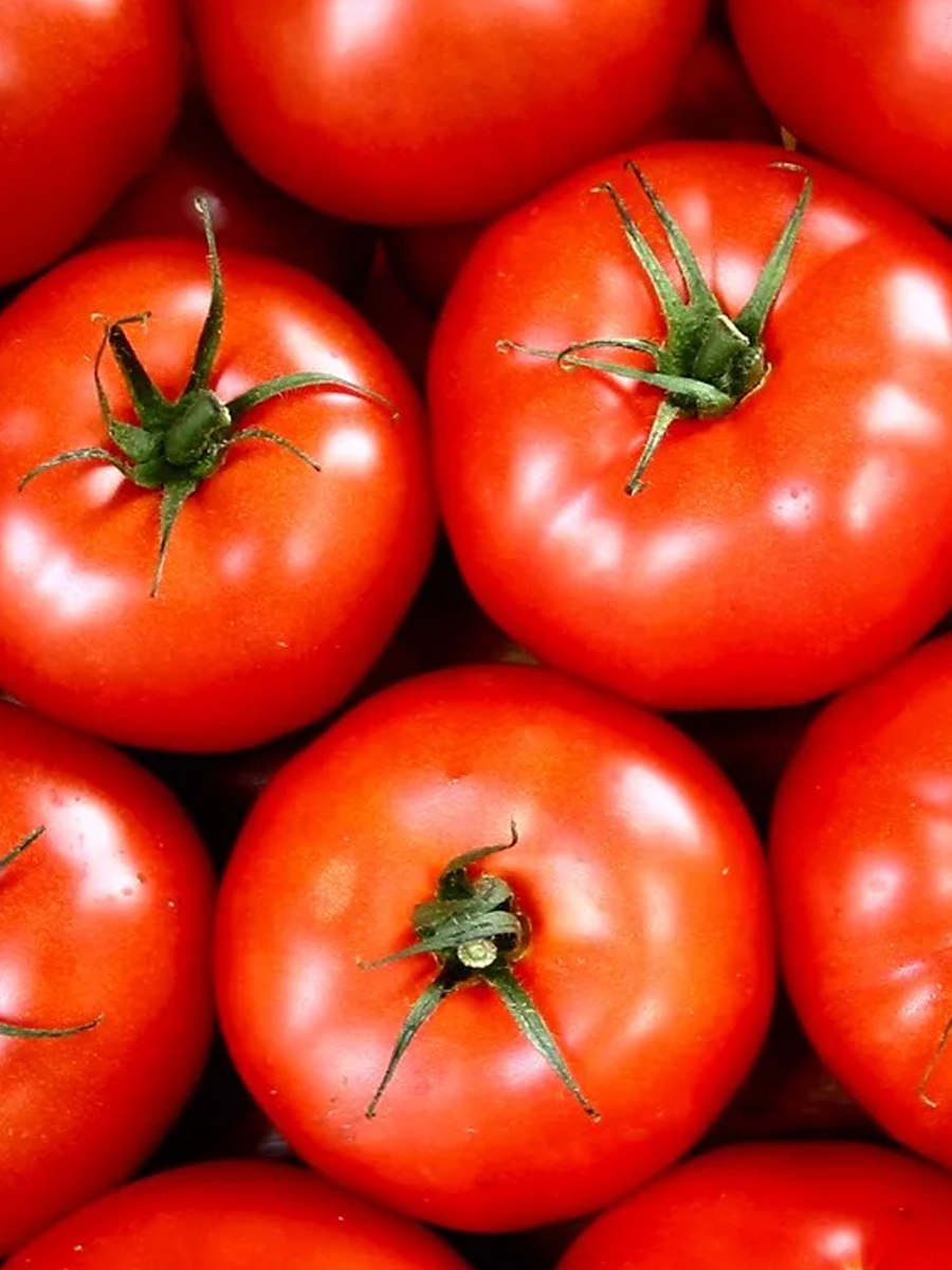 Штамбовые сорта помидор