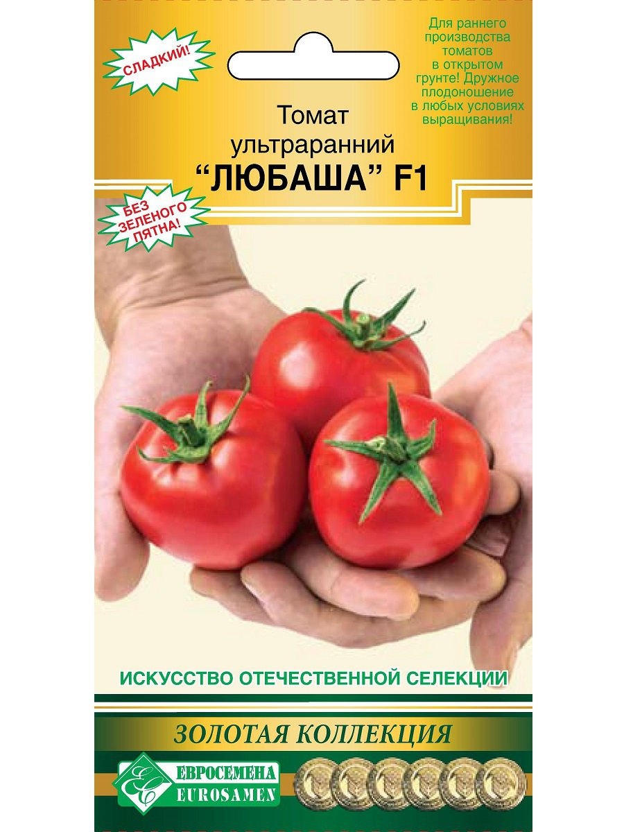 Томат Антюфей партнер