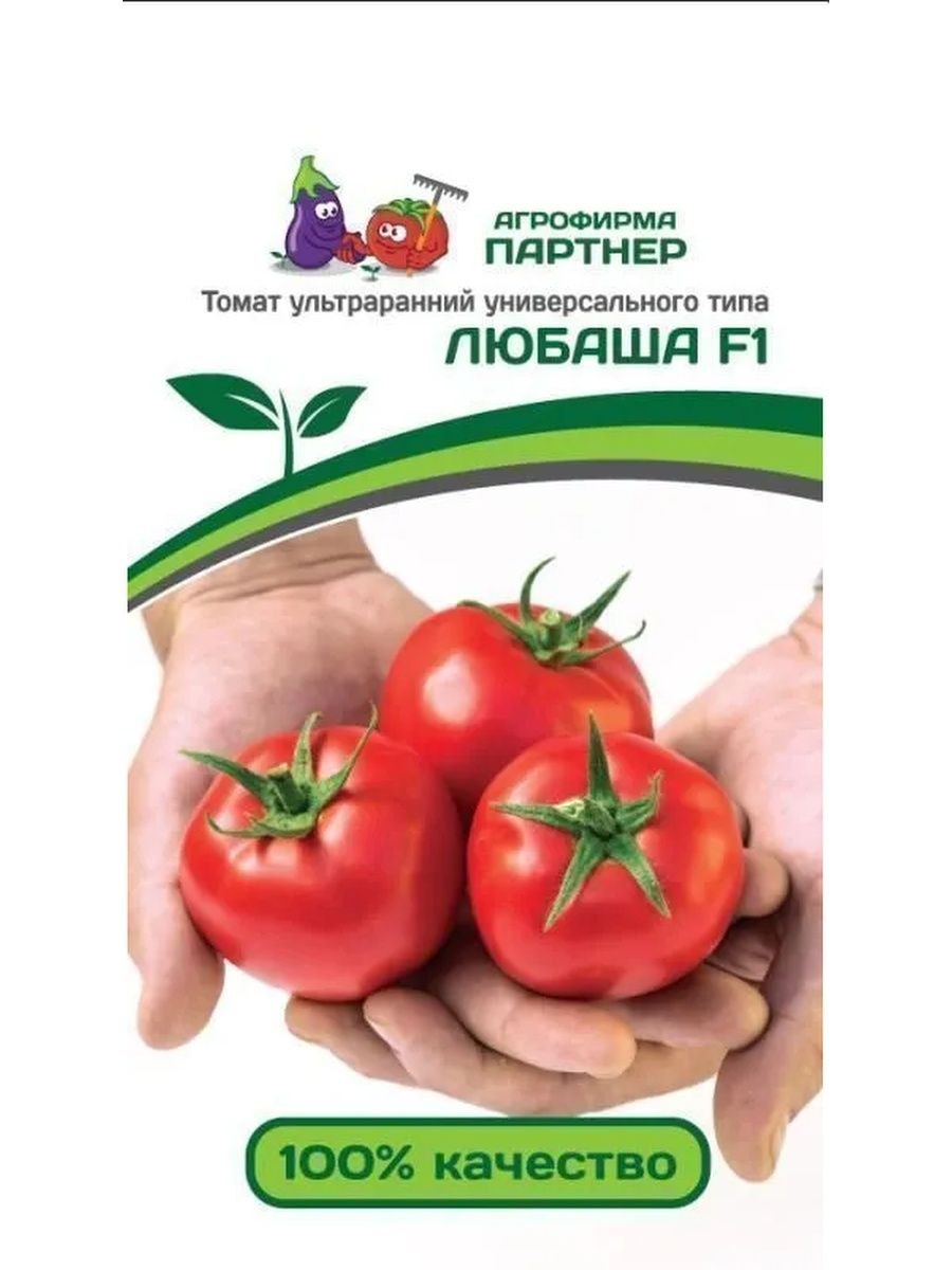 Помидора Любаша из семян выращивание