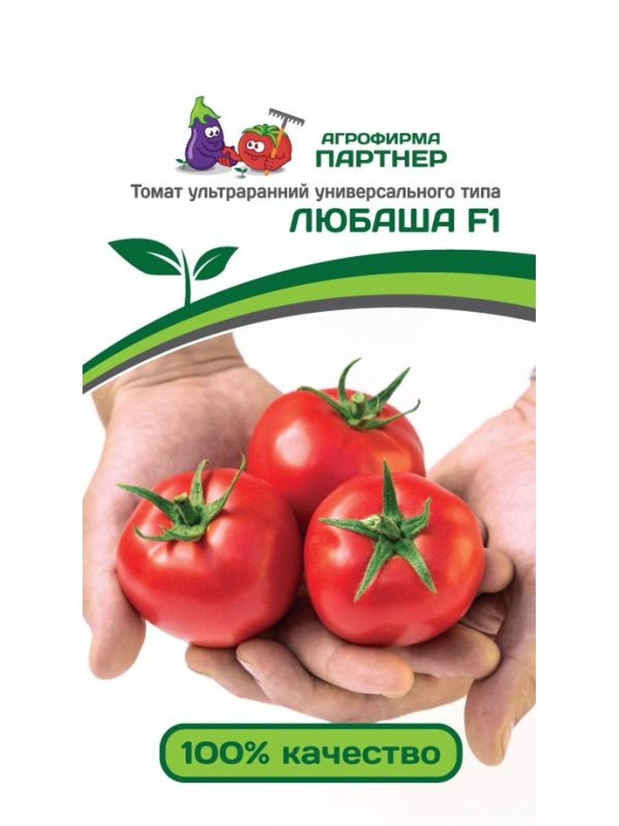 Томат любаша