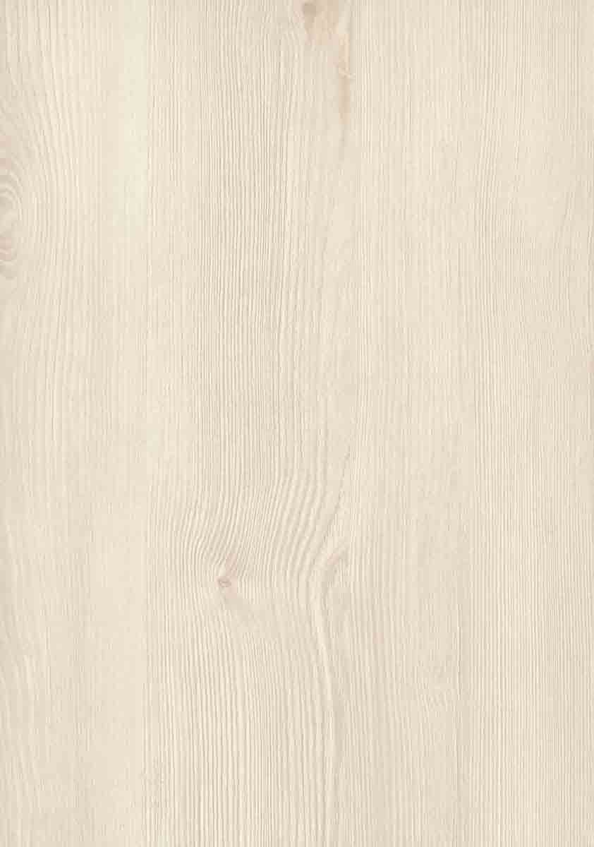 Сосна арктическая