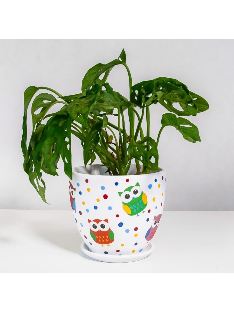 Монстера (120 см)