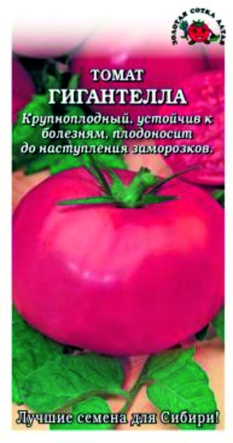 Гигантелла помидор сорт