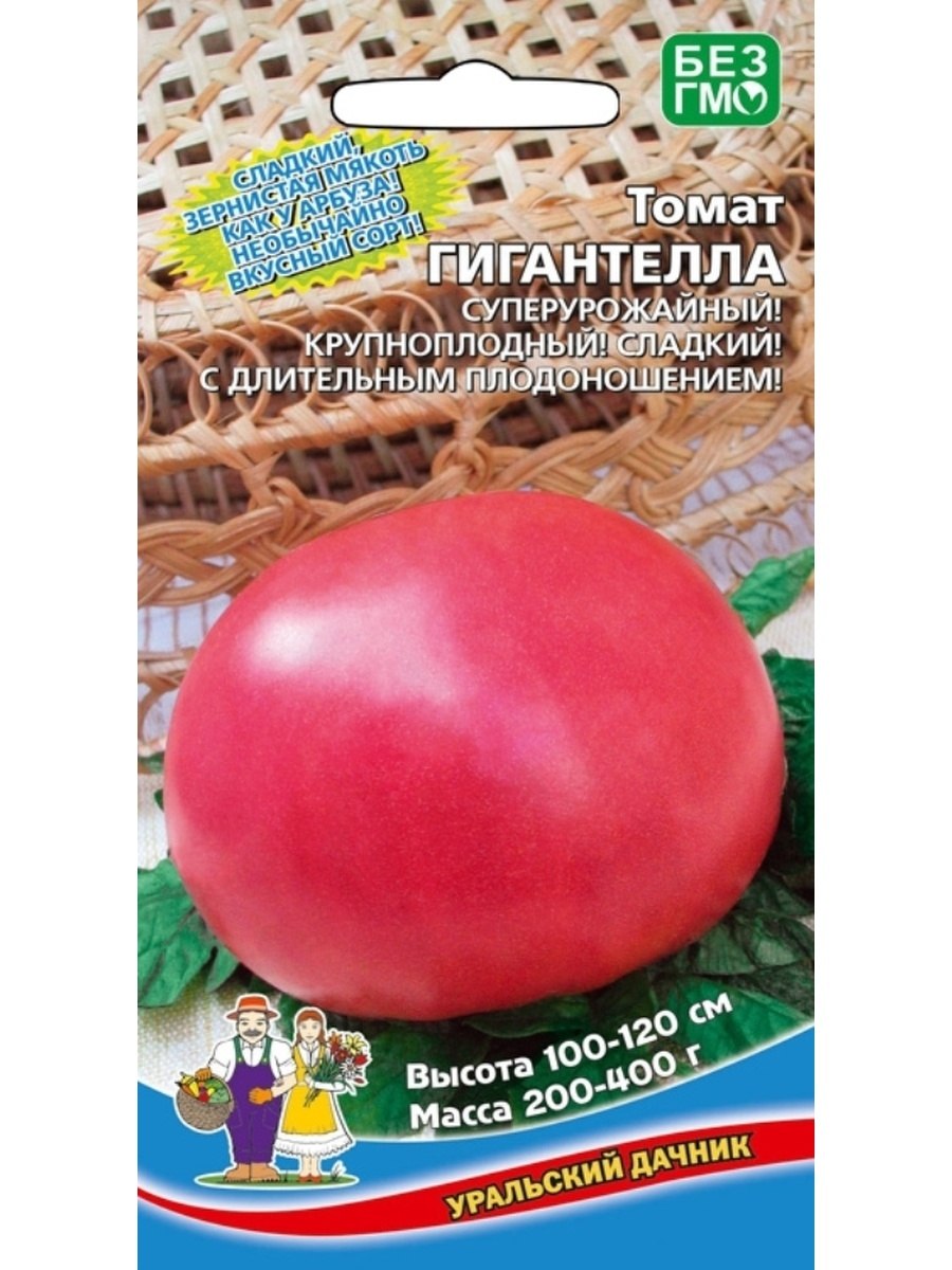Дорохов сорт Гигантелла