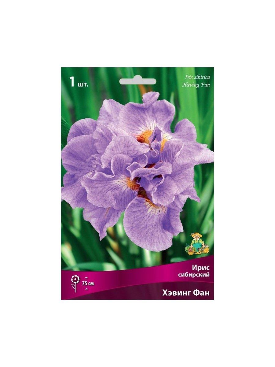 Ирис Сибирский Pink parfait