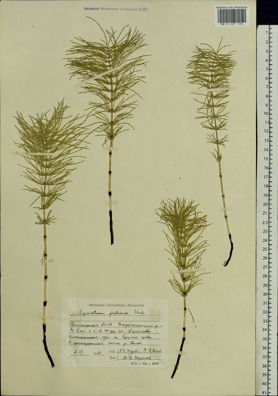 Монастырский сбор отца Георгия 16 трав
