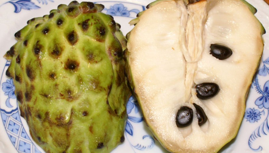 Аннона гуанабана семена