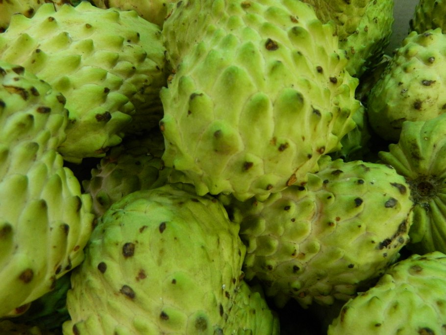 Аннона гладкая