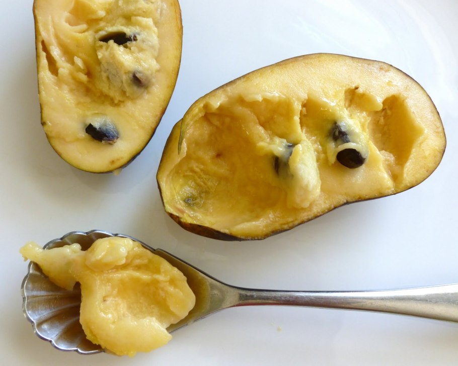 Азимина плоды